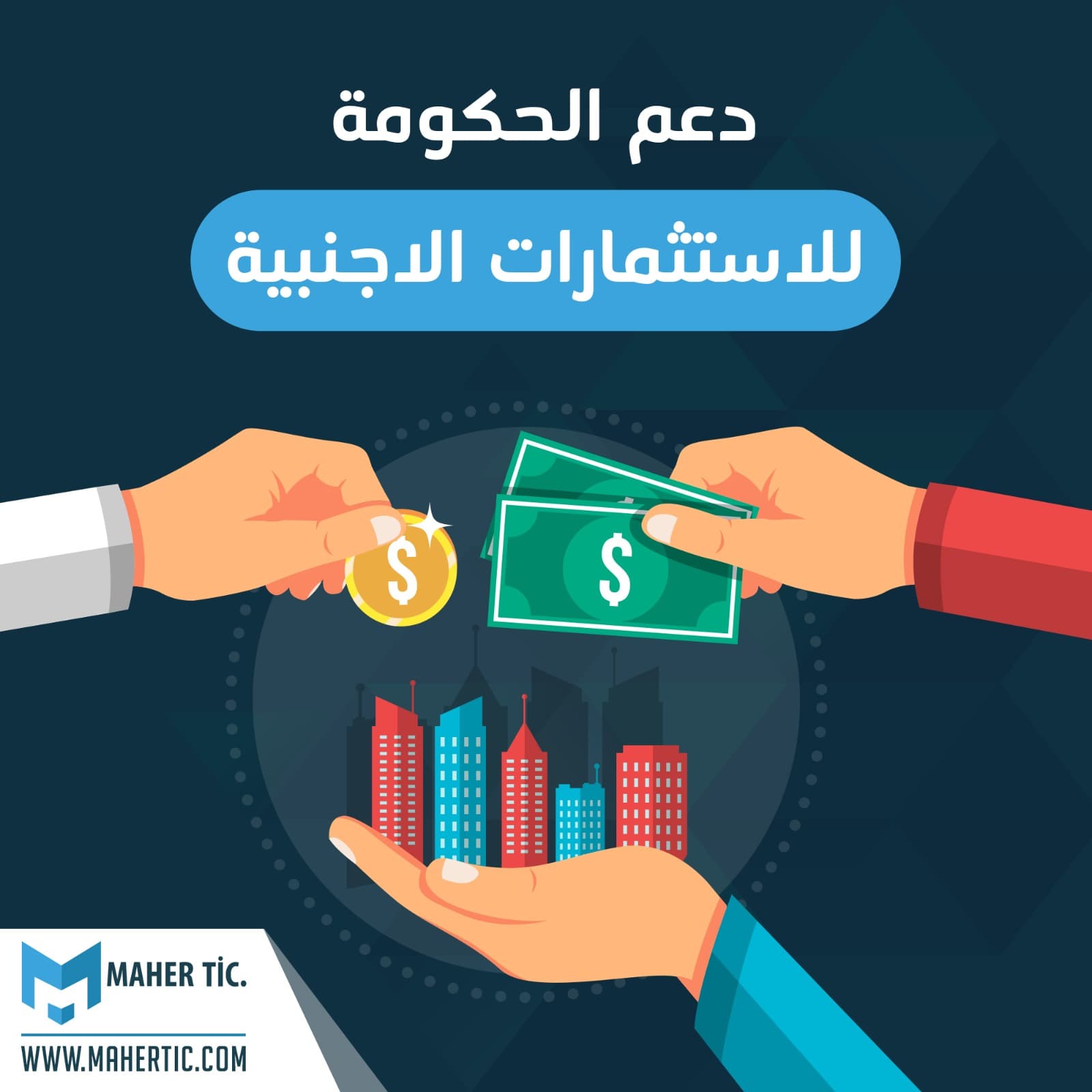 دعم الحكومة للاستثمارات الاجنبية