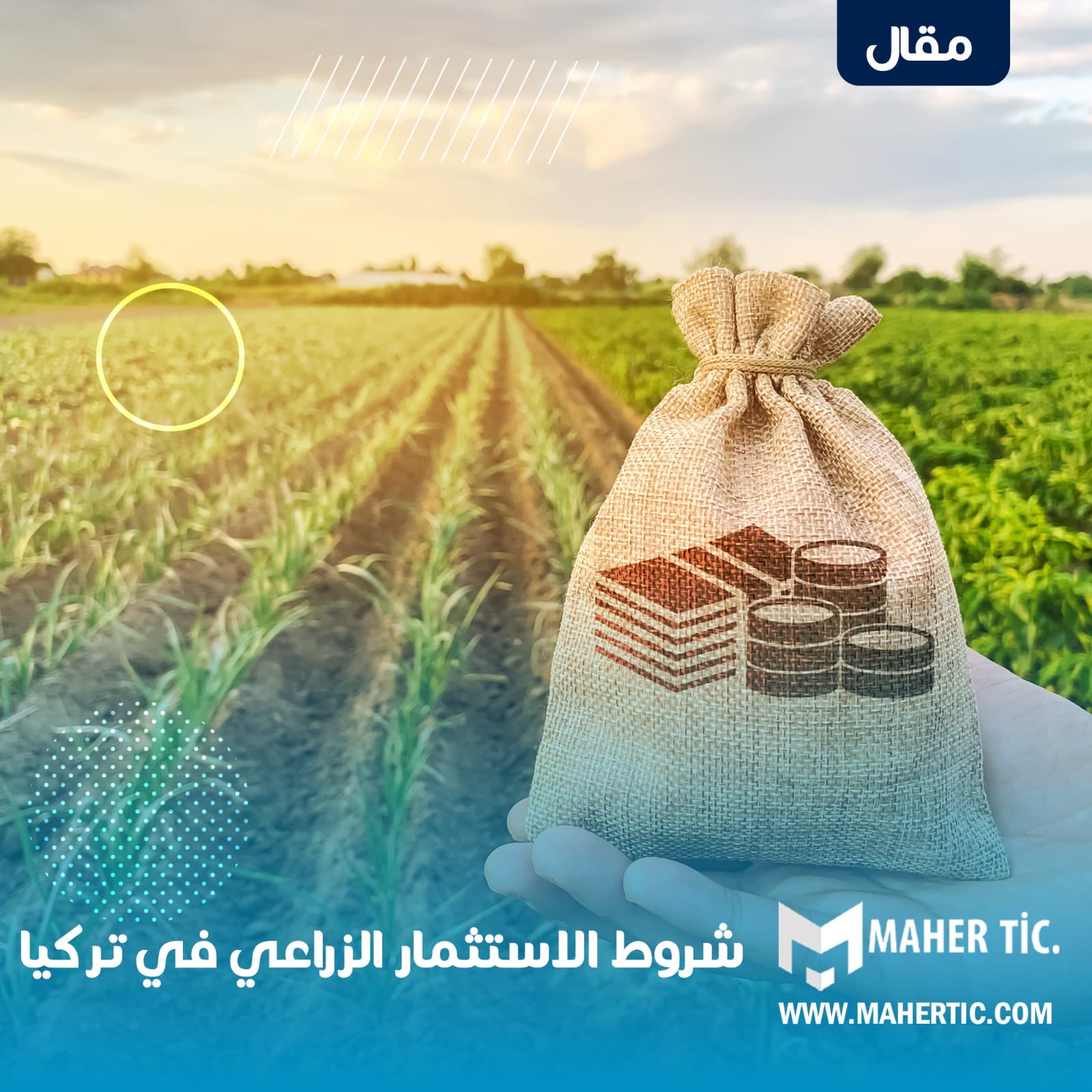 شروط الاستثمار الزراعي في تركيا