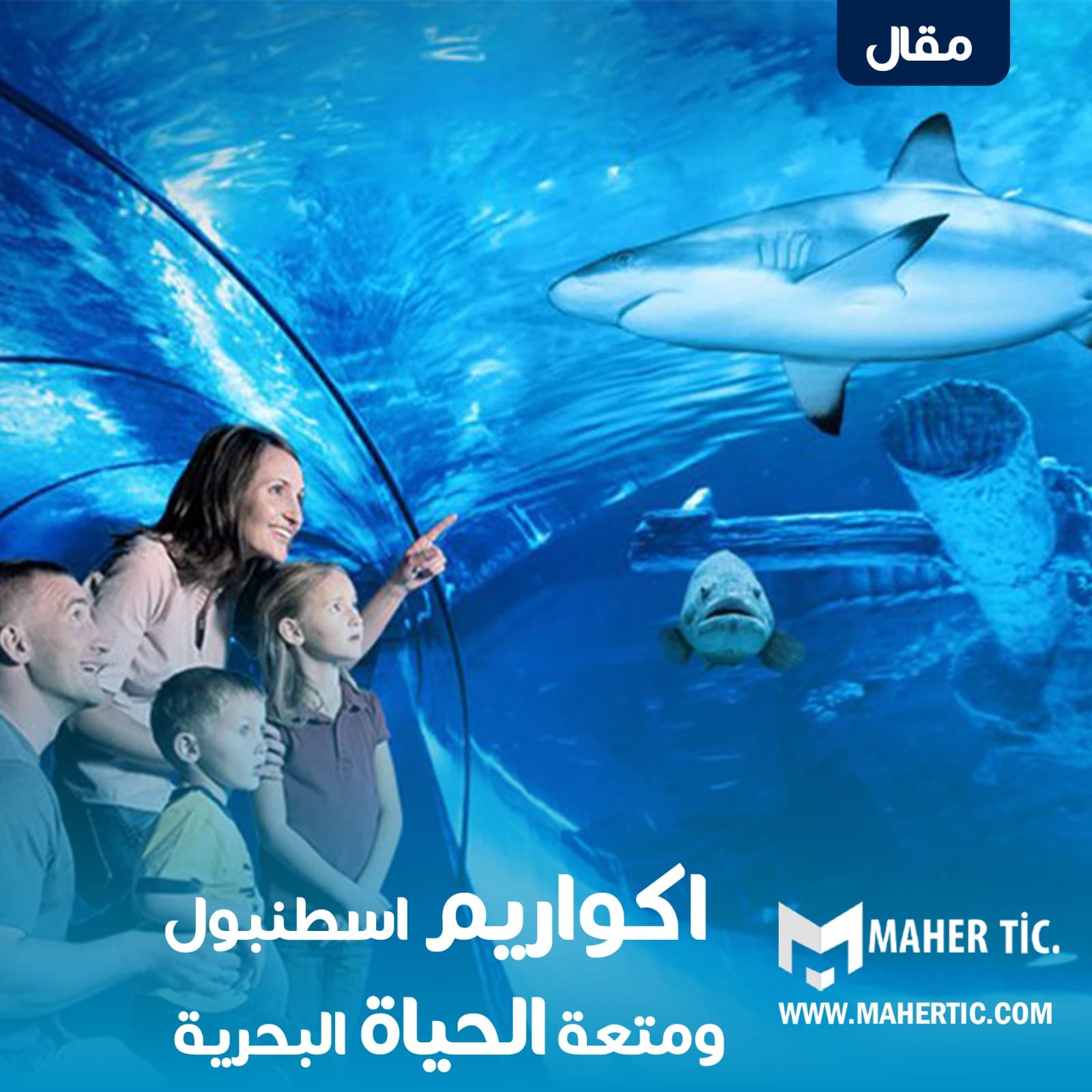 اكواريم اسطنبول ومتعة الحياة البحرية