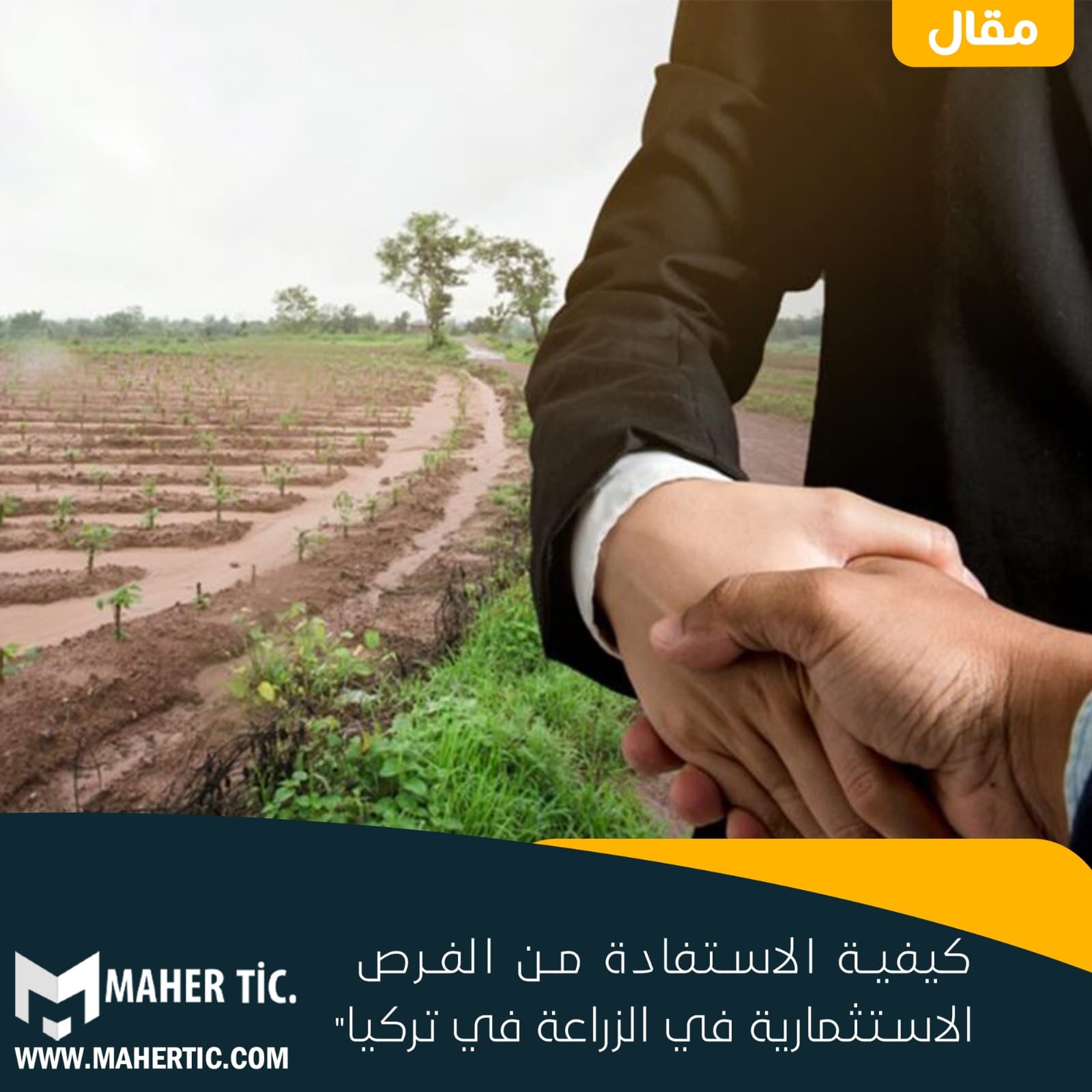كيفية الاستفادة من الفرص الاستثمارية في الزراعة في تركيا