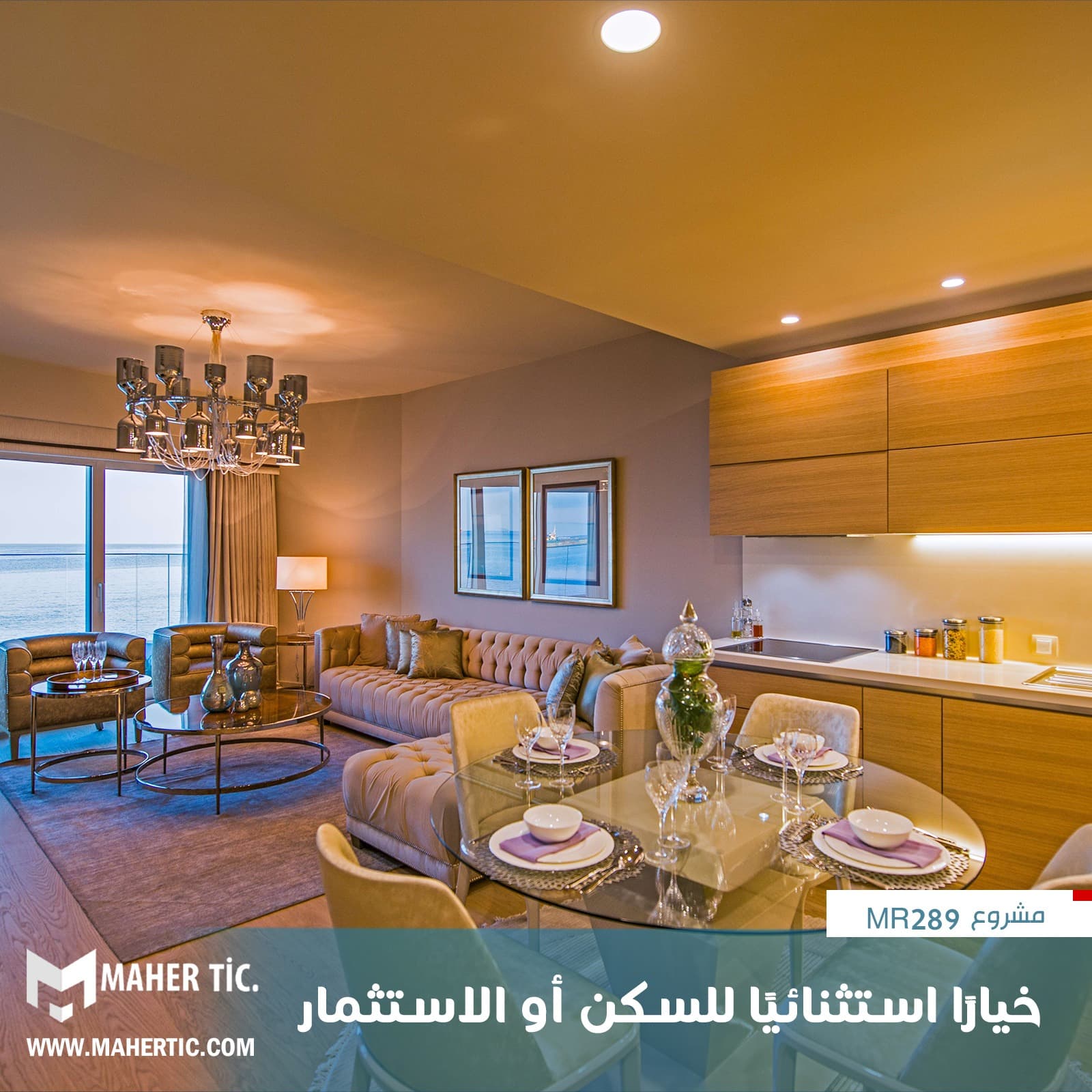 مشروع 289 MR